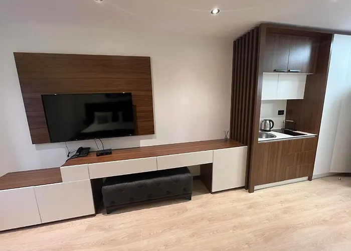 Apartman Stasa Zoned II