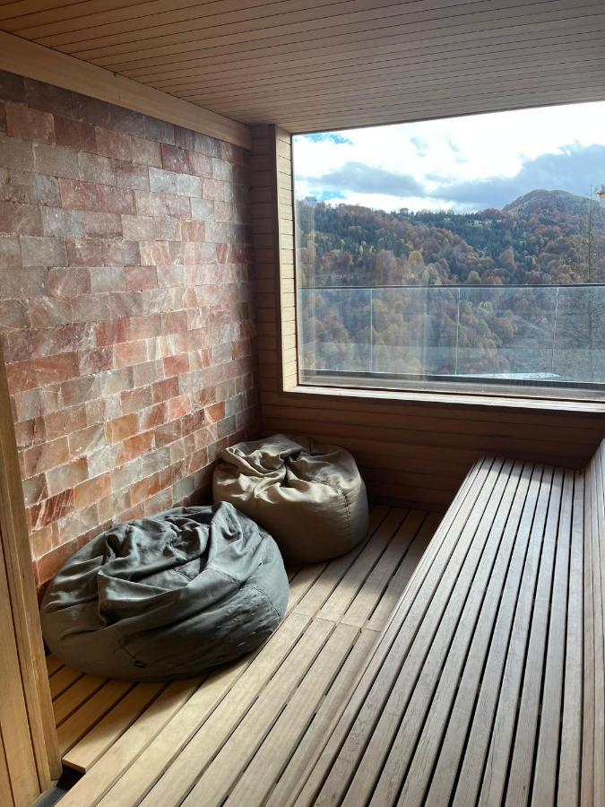 Stasa Zoned Ii Apartment Kopaonik